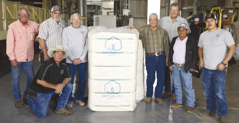 BEAUTIFUL FIRST BALE - As harvest season begins for this year’s current cotton crop, cotton gins around west Texas are beginning to put in the long hours to get the job done. For Southwest Willingham Gin, their first bale was packaged last week. Pictured from left in no particular order are; Freddie Brown, Larry Ivins, Gary Willingham, Junior Salazar, Frank Ruiz, Emeterio Trujillo and Todd Willingham. (Staff Photo by Dom Puente)